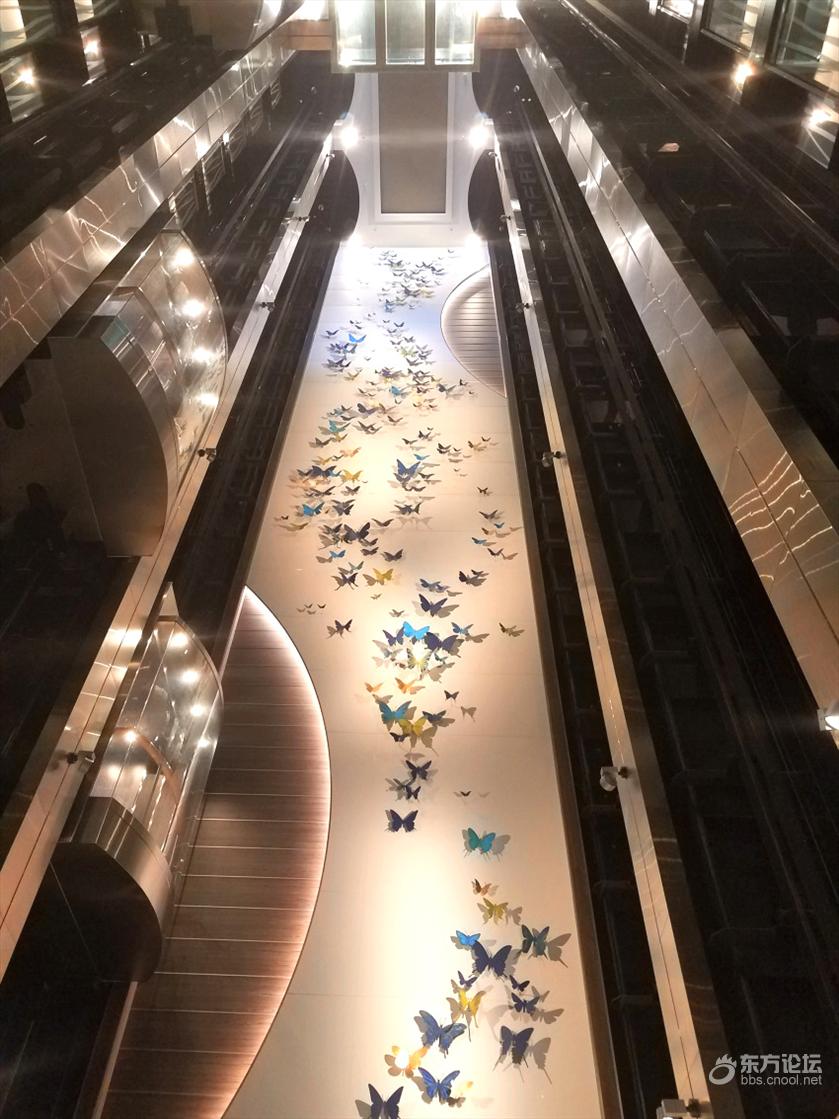 坐奢华游轮什么感受？房间就像漂在海上量子号游记！