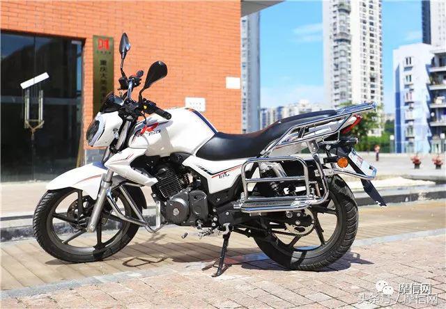 钱江龙御龙猛龙飞龙哪个好,猛龙御龙钱江龙