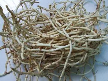 什么食物比鲱鱼罐头还难吃,盘点九种最黑暗的食物鲱鱼罐头