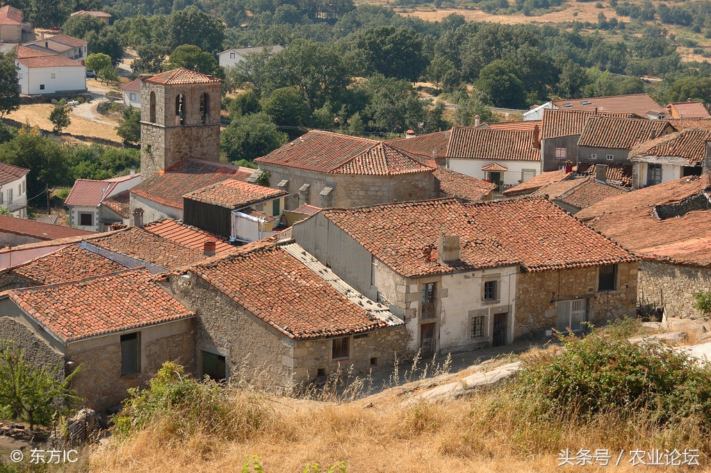 广西农村宅基地确权超面积怎么办,河北宅基地确权2021年规定面积