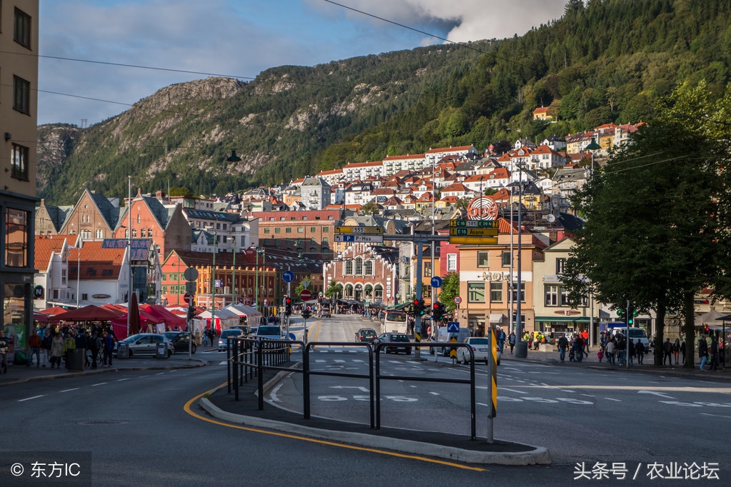 广西农村宅基地确权超面积怎么办,河北宅基地确权2021年规定面积