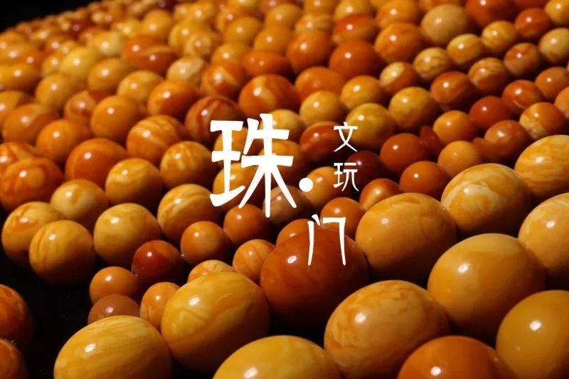 世界上发现蛇类琥珀,人类首次在琥珀中发现鸟类