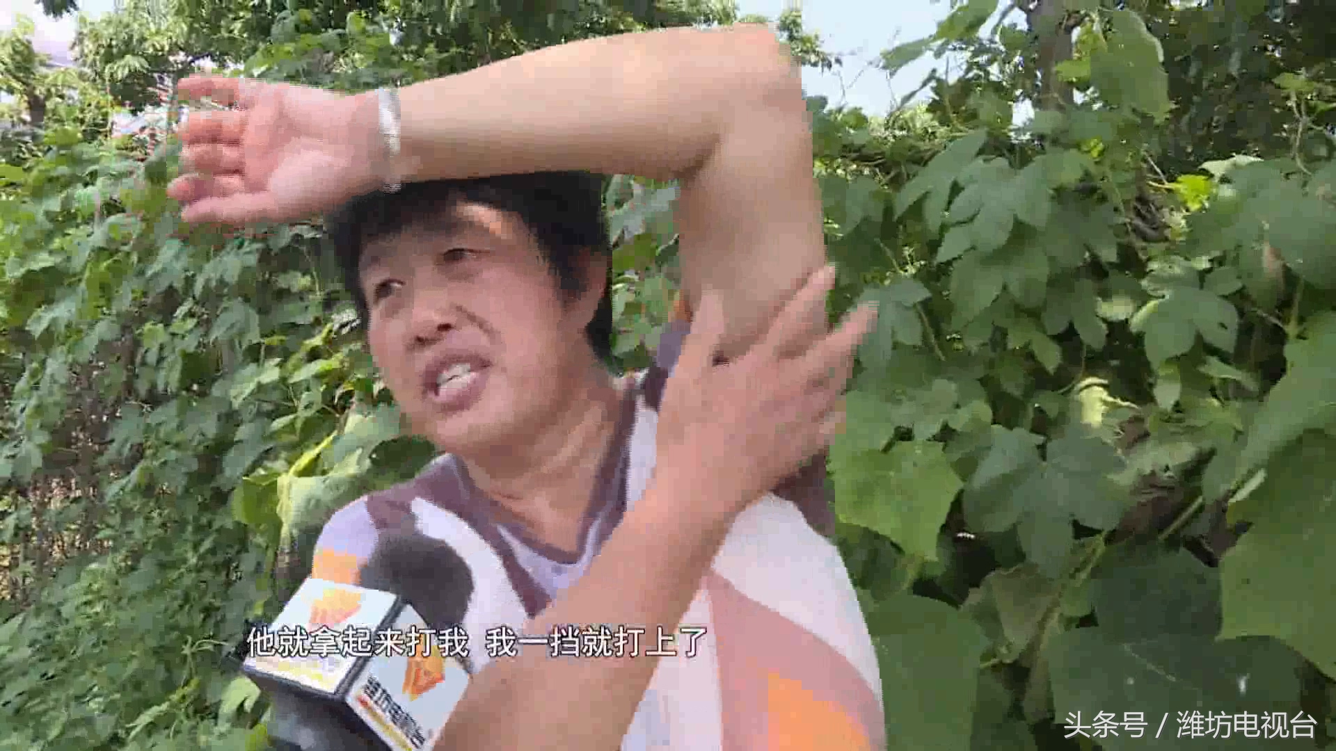 一道篱笆、两户人家、四人受伤、损失万元