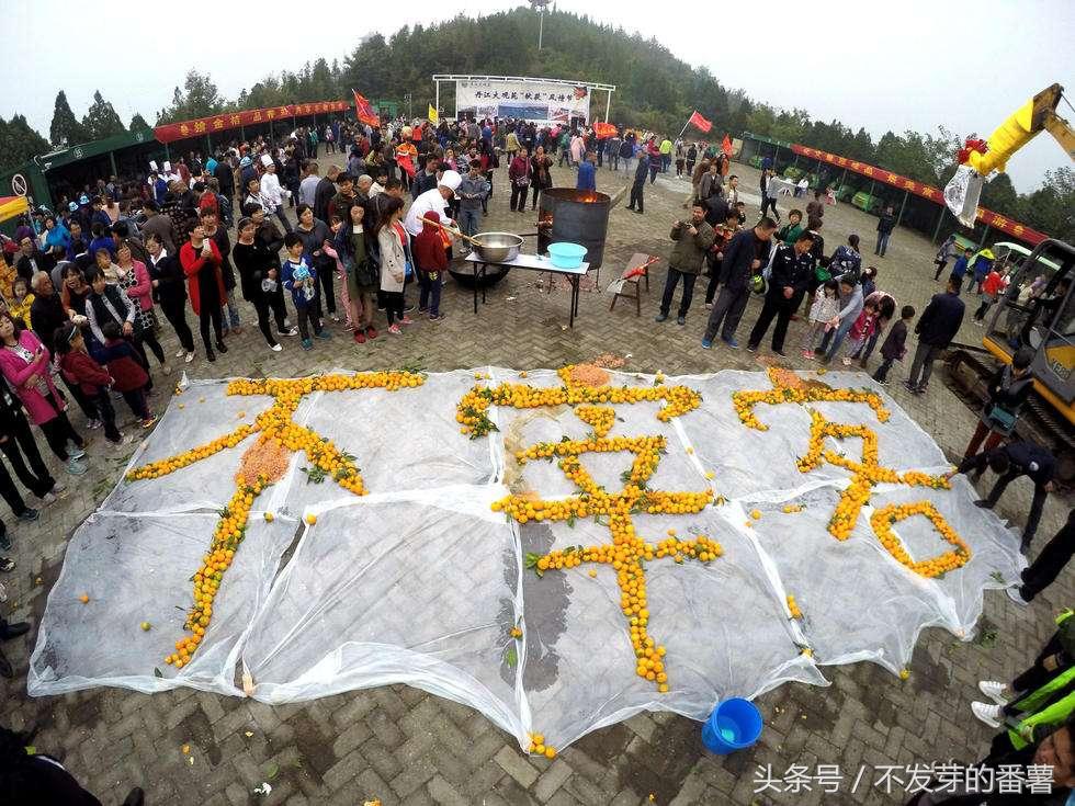 导游强制消费为何屡禁不止,为什么导游强制购物没被判刑