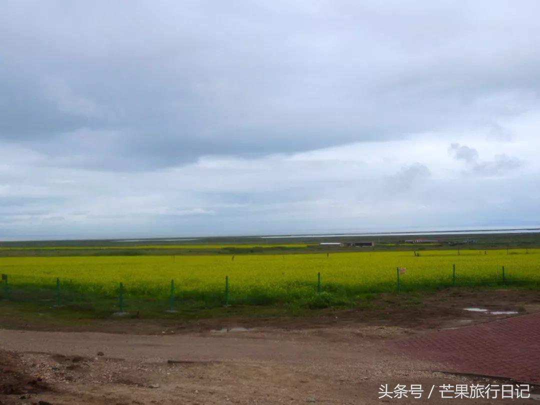 大美青海7月最美的风景,四川青海旅游十大必去景点