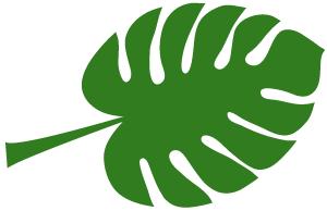 常见药哪几种不能一起吃,什么常见药不能一起服用