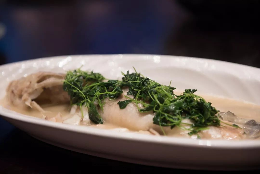 全国第一家凯悦,亚洲最高凯悦