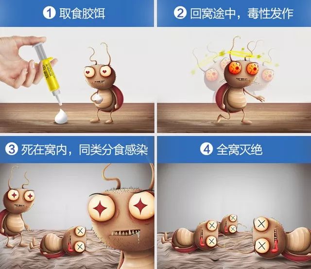 杀蟑胶饵用多久能把蟑螂彻底清除,杀蟑胶饵高效率除蟑螂