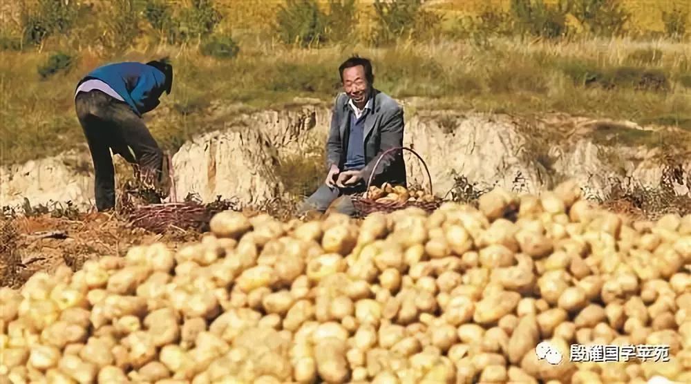 内蒙古三件套特产,推荐内蒙特产的一句话