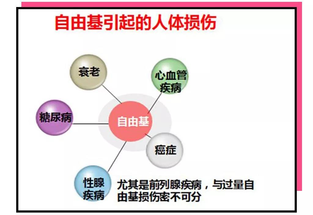延缓衰老的葡萄籽,等你老了就知道身体比啥都重要