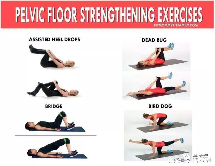 腰背不舒服，漏尿等都是骨盆底肌惹的祸，用普拉提来锻炼他吧！