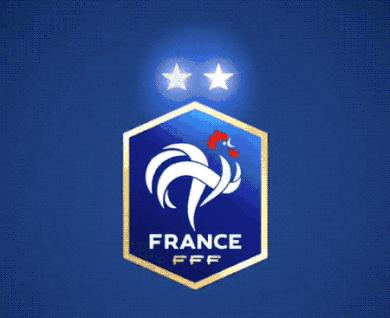 法国各足球队队标,法国国家足球队队徽