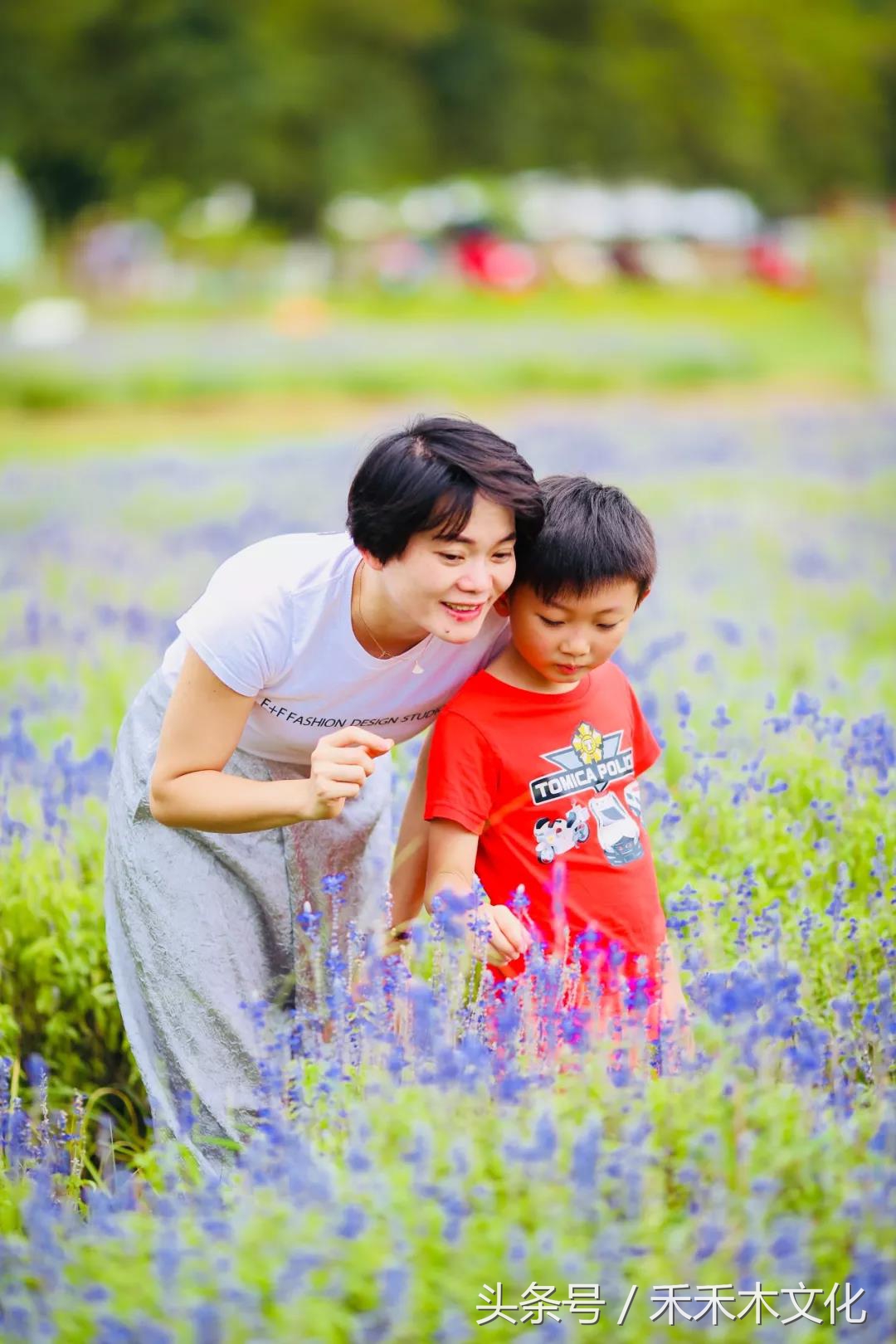 黄可乐发现一个秘密花海基地,让所有的小朋友都带爸爸妈妈来