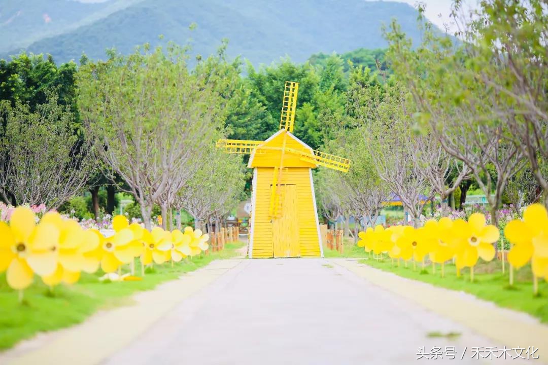 黄可乐发现一个秘密花海基地,让所有的小朋友都带爸爸妈妈来