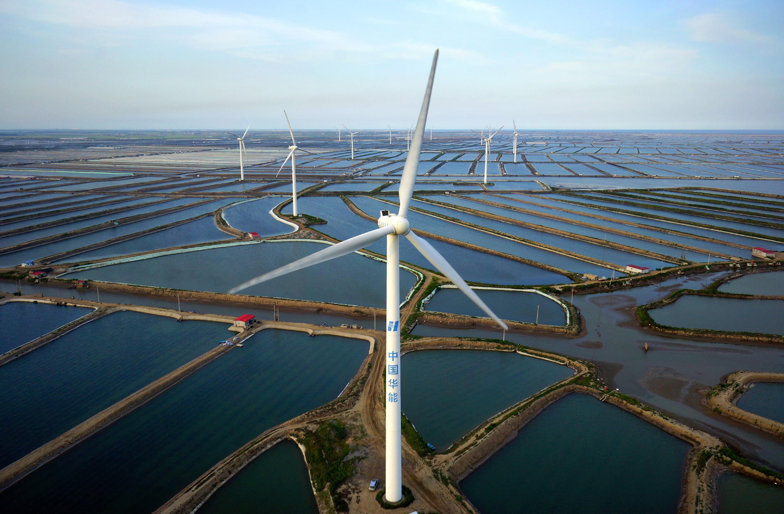 河北海岸线推荐,河北海岸线哪个最长