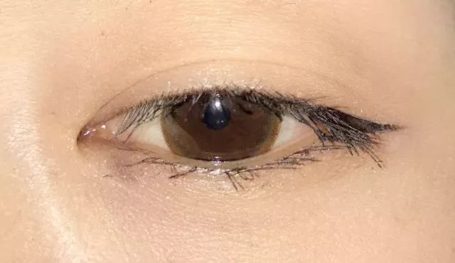 8款热门睫毛膏专业测评，Angelababy最爱的睫毛膏居然垫底了！