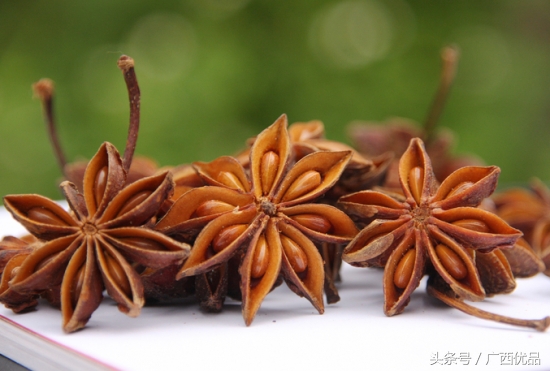 揭秘34种常见香料的名称与用途,12种常见香料怎么用一次性告诉你