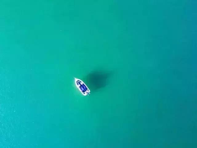 托福怎么精读,托福咋学