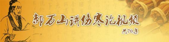 伤寒论少阳病图表,老中医郝万山讲少阳不足调胆办法