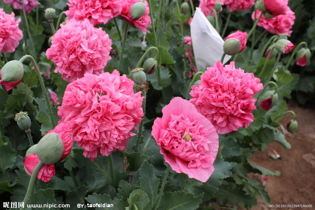 老公幻想我出轨怎么办,总是幻想老公出轨是什么情况