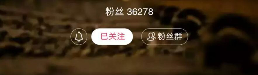 纯干货无广告,纯干货价格实惠