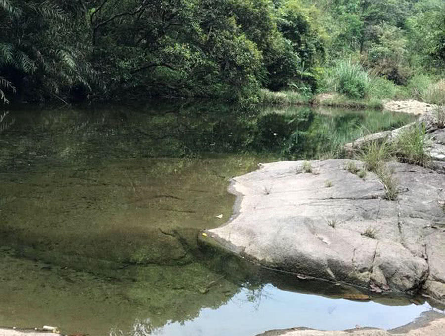 溪流钓常见的鱼,野钓常见的小鱼