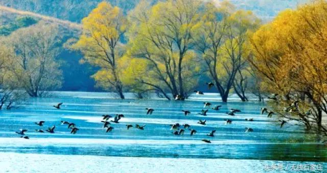 我们向全世界发出邀请！2019，欢迎您来到石家庄！