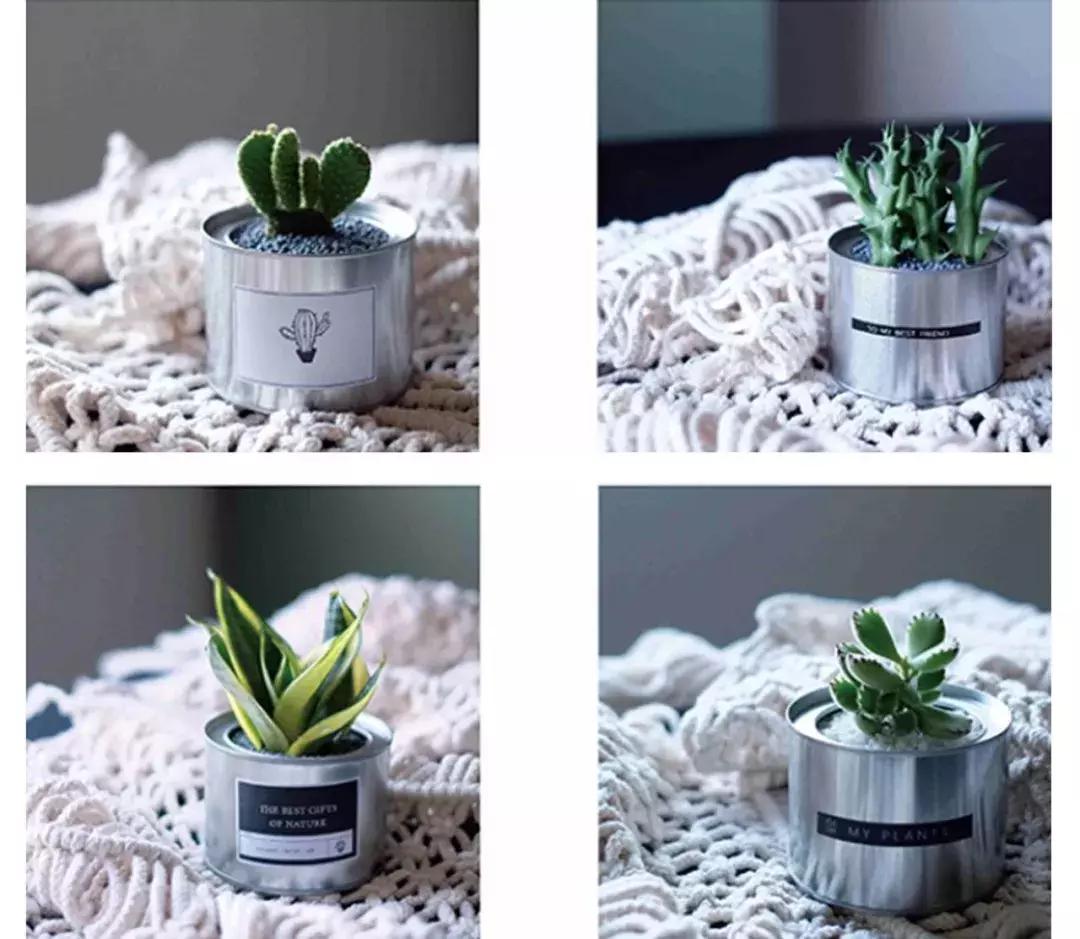 1000元以内出租房改造，就算房子不是自己的，也要活出自己的生活