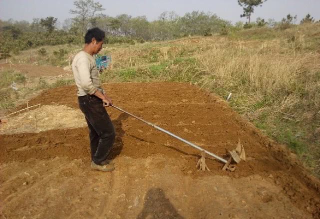 不想打工了在农村做点什么生意好,在农村不想出门打工做什么有收入