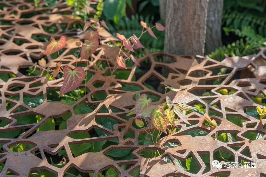 这座暗黑花园，不仅酷，还防涝