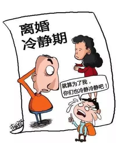 离婚律师法律服务方案大全,离婚案件新规定