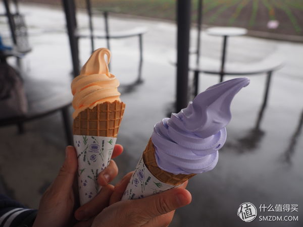 北海道札幌的散步之旅,日本北海道小樽旅游攻略