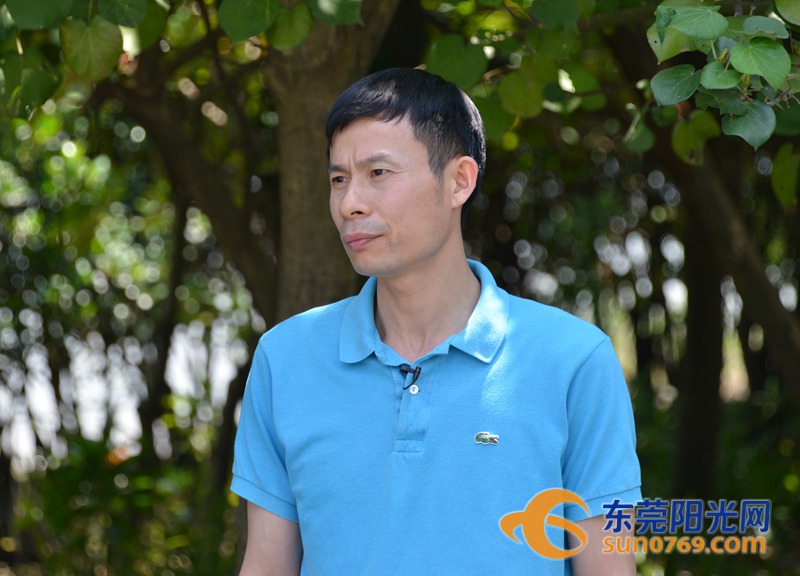 清水绕绿屿，白鹭上青天！沙田这些地方如今变得这么美！