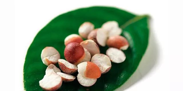 在白洋淀除了赏荷花还能干嘛,白洋淀之外还有什么淀