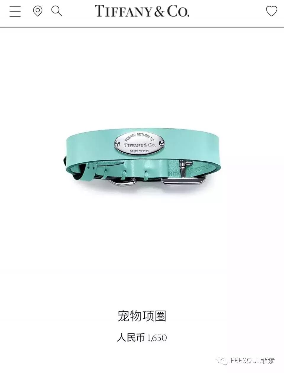 tiffany月季,tiffany宠物盆