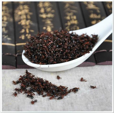 蚂蚁能治风湿病吗,山蚂蚁能治类风湿性关节炎吗