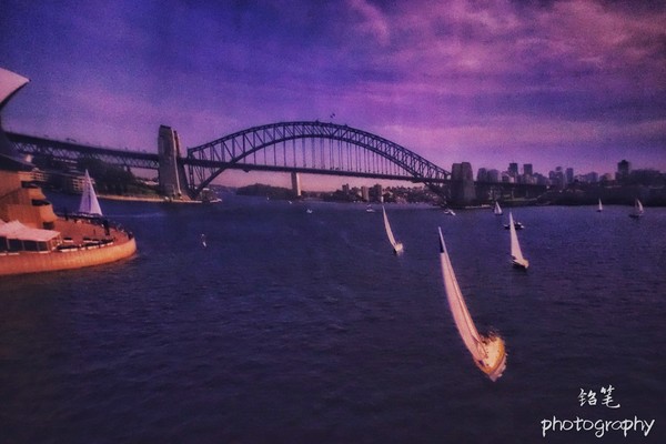 日记上海迪士尼,上海迪士尼记录美好童年