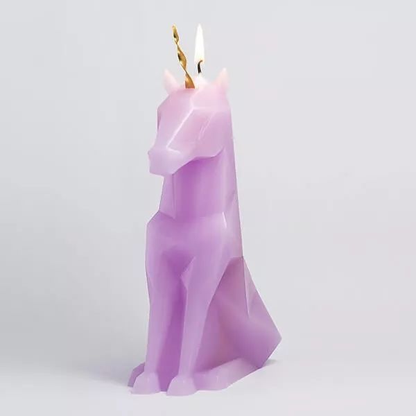 你点燃的不是蜡烛而是艺术