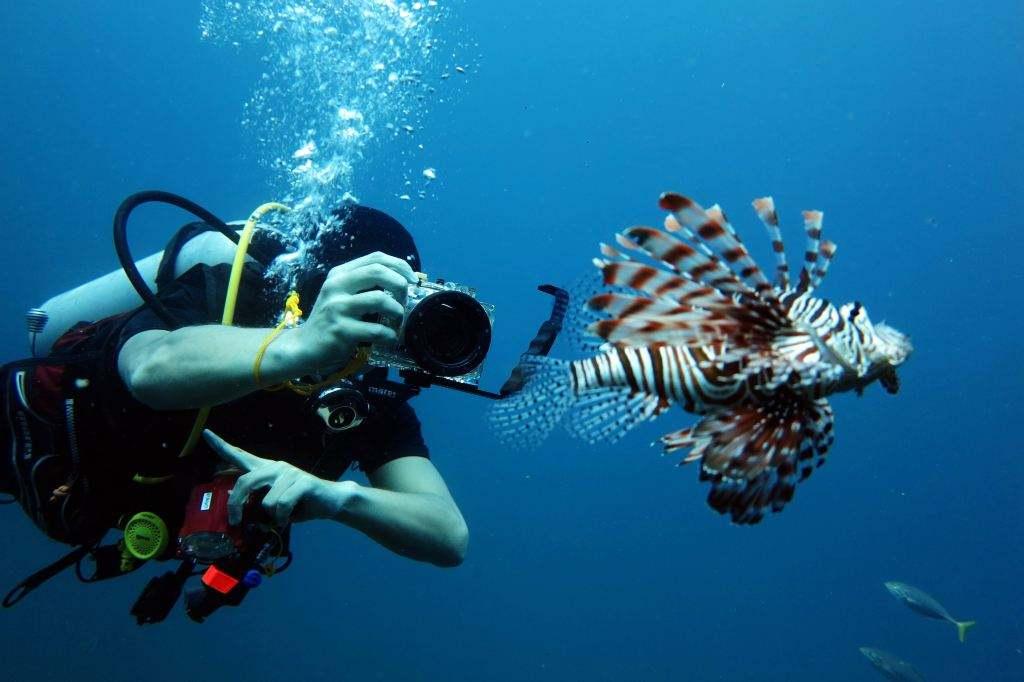 普吉岛自由行必备物品清单,普吉岛必备清单