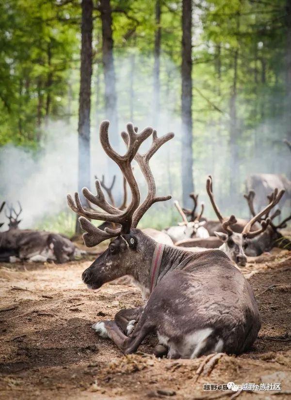 无法忘记的第一次草原之旅,一生必去一次的草原