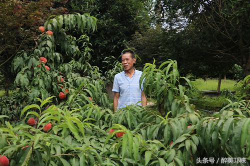 新时代的奋斗者视频,新时代的奋斗者