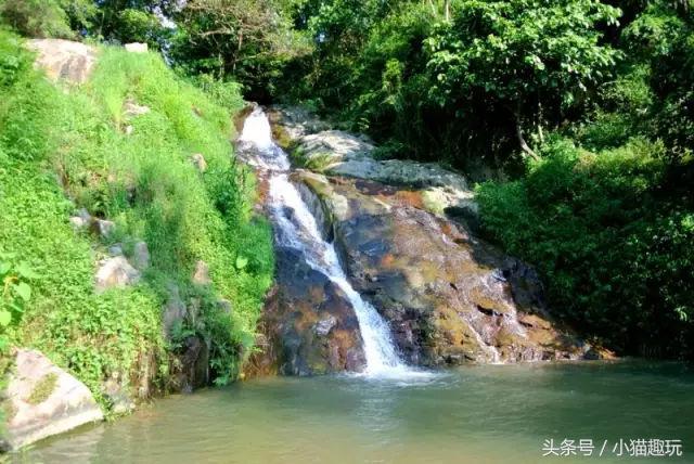 半山旅游酒店,半山温泉酒店预订