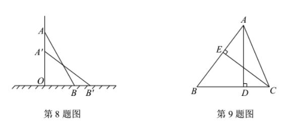 北师大八上勾股定理,八年级上册数学北师大版勾股定理