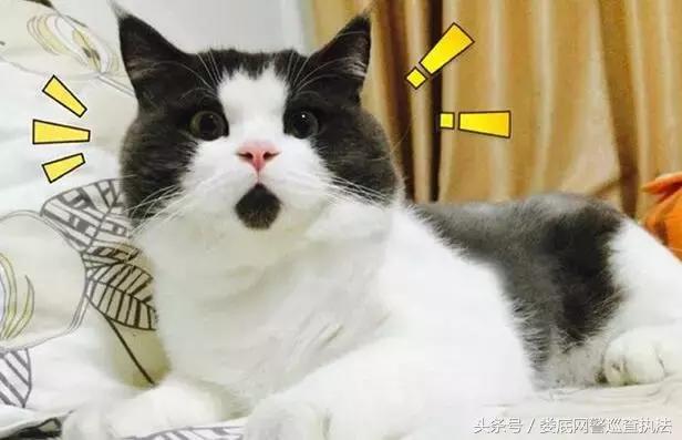 紧急提醒：快删！“山寨微信”出现，可转发语音，已有人被骗！