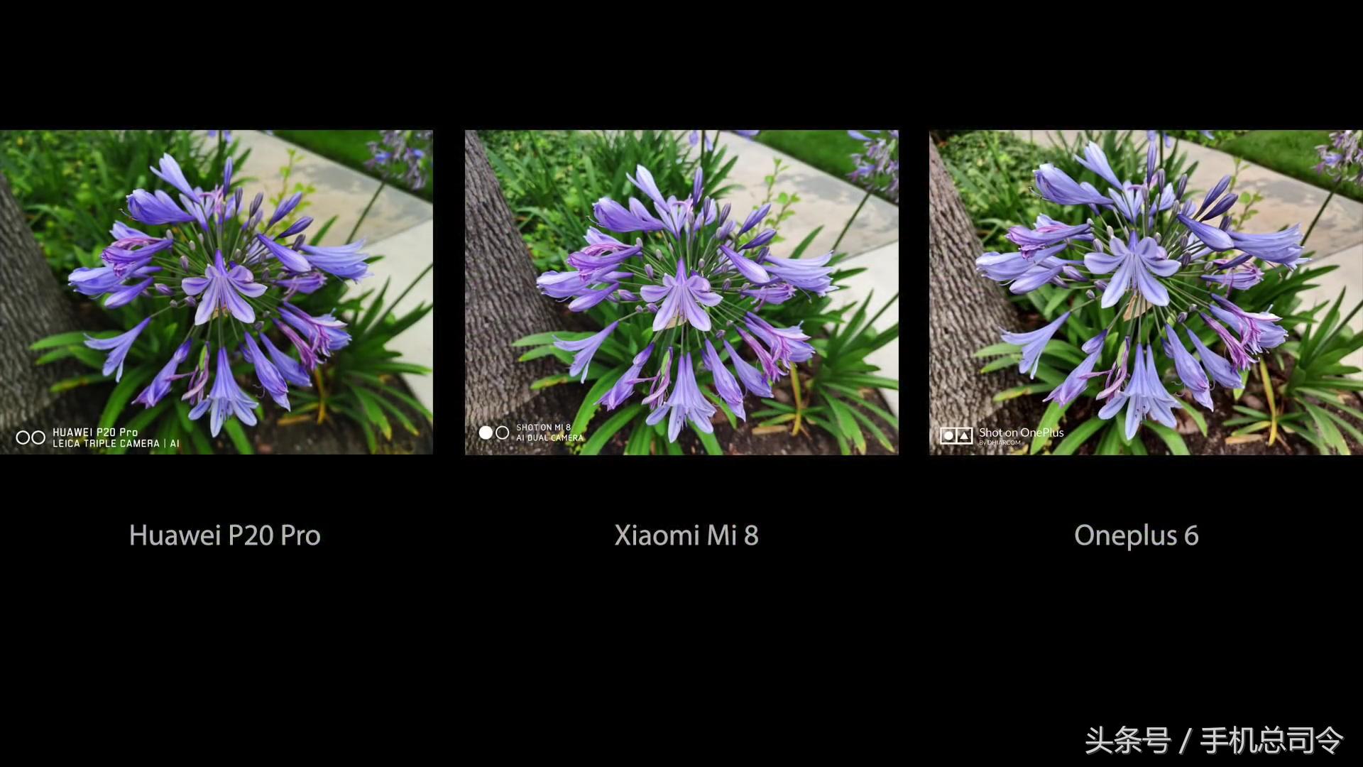 oppofindx王自如评测视频,oppofindx王自如开箱评测视频