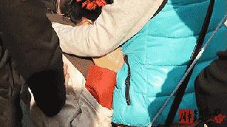 赵丽颖热巴也被网友提及,赵丽颖和热巴最新消息