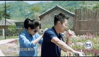 大s版杉菜有多不好惹,为什么杉菜叫做大s