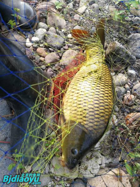 钓鱼也要讲究生活必须惬意,钓鱼需要保持哪些心态