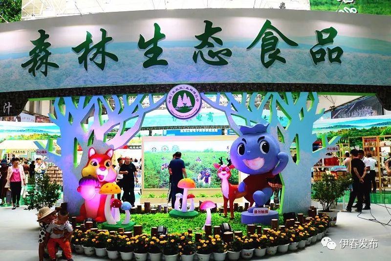 聚焦｜七月“森博”热林城