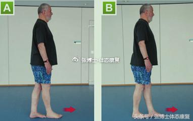 老年人功能性训练方法,专家讲解老年人如何正确锻炼身体